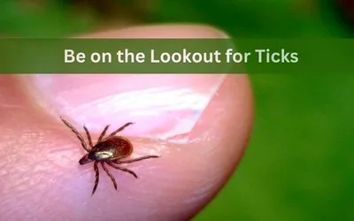 Be on the Lookout for Ticks