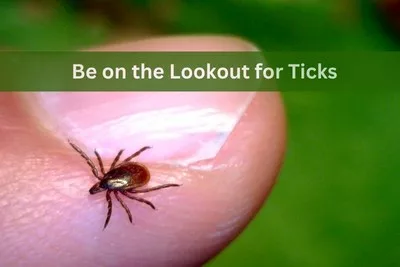 Be on the Lookout for Ticks