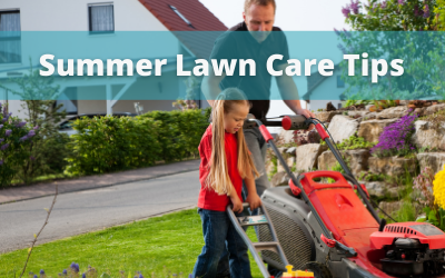 How To – Summer Lawn Care Tips