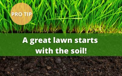 For a Lush Lawn, Think Soil