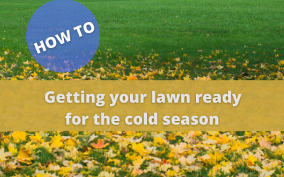 Getting Your Lawn Ready for Winter