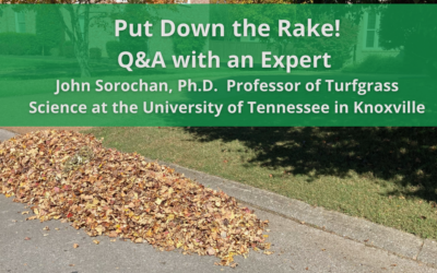 Put down the rake – Q&A with an expert