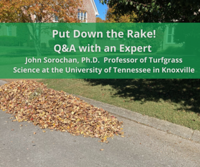 Raking vs. Mulching zB
