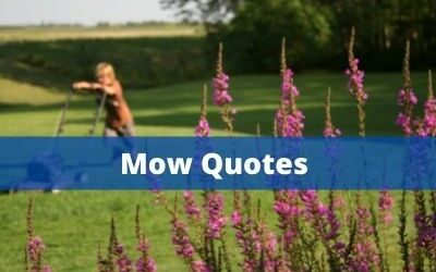 Mow Quotes: A Little Lawn Care Inspiration
