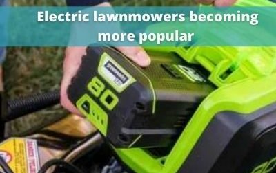 The Electric Lawn Mower Craze