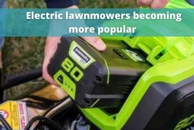 Electric Mower Craze-2