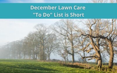 Lawn Maintenance – December to do list is short