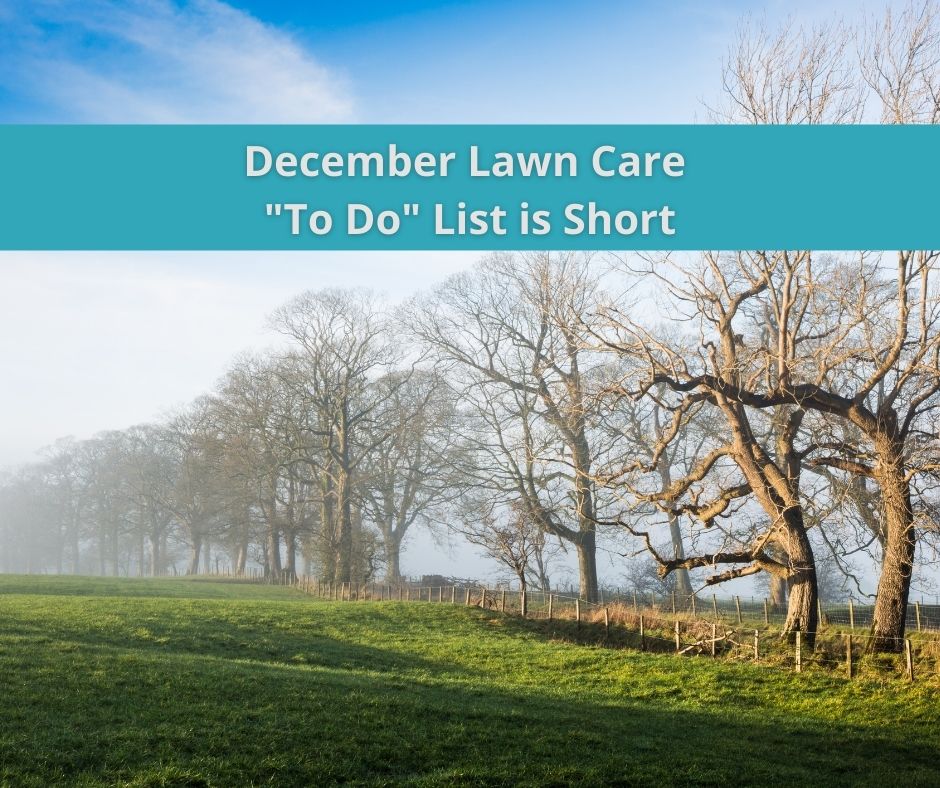 December Lawn Maintenance-3