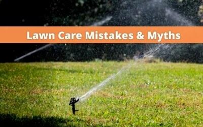 Lawn Care Mistakes and Myths