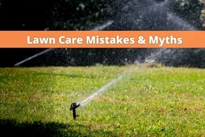 Lawn Care Mistakes and Myths