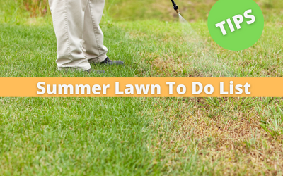 Lawn Maintenance – Summer Months To Do List