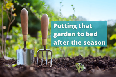 Putting that garden to bed-3