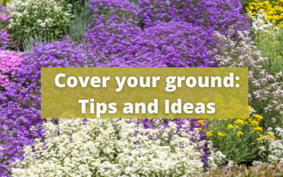 Cover your ground: Tips and Ideas
