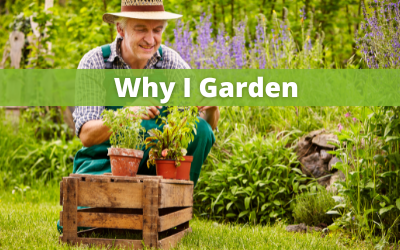 Why I garden