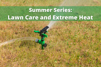 Summer-Series-Extreme-Heat-2