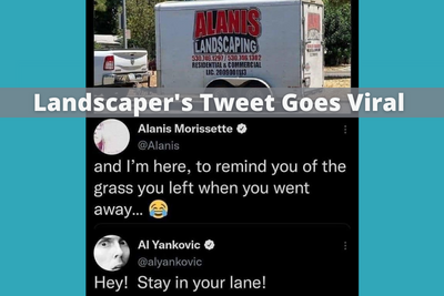 Alanis Tweet-2