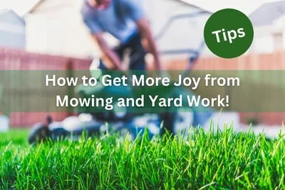 Five Tips for More Joy