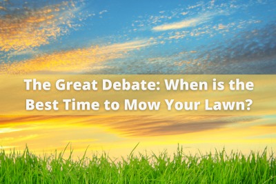 The Great Debate When is the Best Time to Mow Your Lawn
