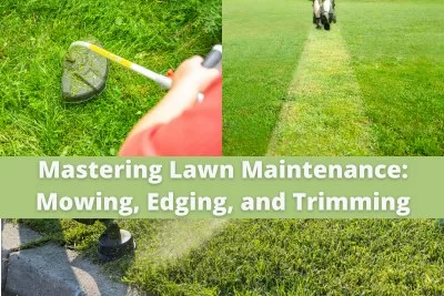 A Guide to Mowing, Edging, and Trimming-2