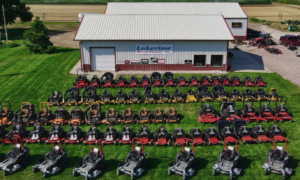 lakeview small engine