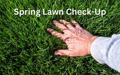 Spring Lawn Check-Up: A Quick Reminder Before You Mow