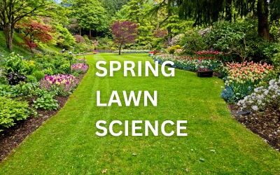 Spring Lawn Science: What’s Happening and How to Prepare