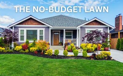 The No-Budget Lawn: Keeping a Great Yard Without Spending a Fortune