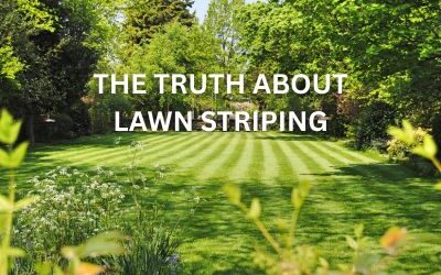 The Truth About Lawn Striping: How to Do It Right (And When to Skip It)
