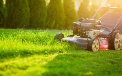 The Sounds You Only Notice When You Love Mowing