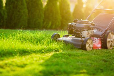 The Sounds You Only Notice When You Love Mowing