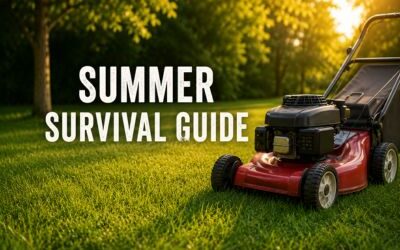 Summer Lawn Survival Guide: What Experienced Mowers Do During Hot, Dry Weather